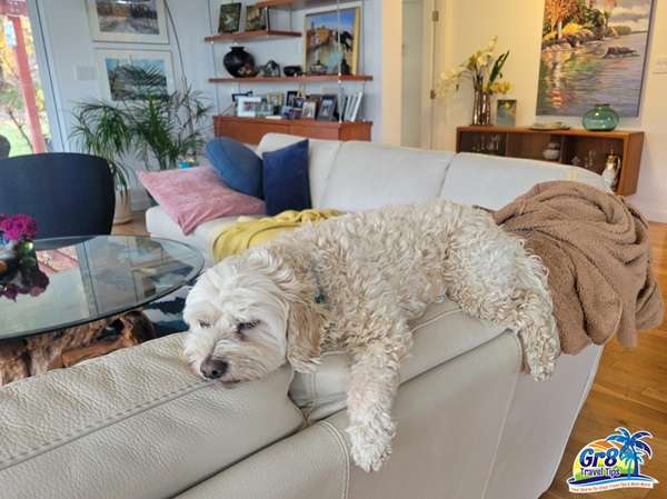 TrustedHousesitters Pet Sitting