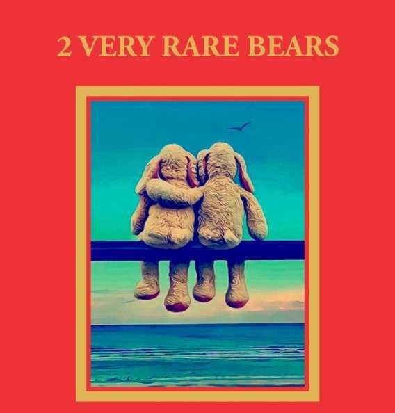 A rare sighting of two bears, a unique moment in wildlife photography.