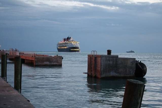 A magical image from Disneyland, showcasing iconic characters and the festive atmosphere.