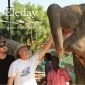 Jaipur Elephant Parks 85x85