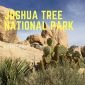 Joshua Tree National Park  85x85