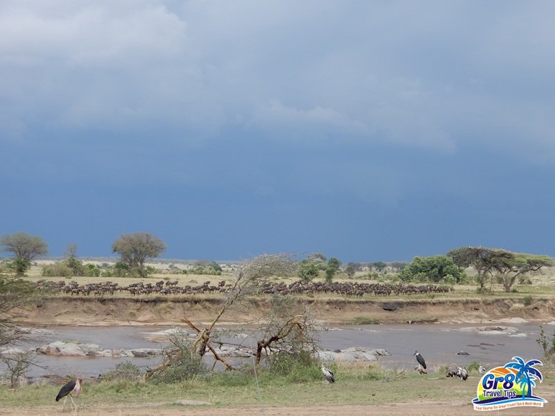 Serengeti Plains
