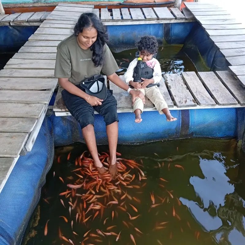 Fish Therapy - Madhu River