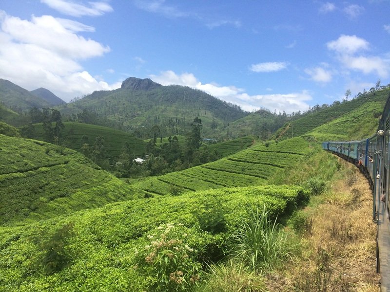 Nuwara Elya Sri Lanka
