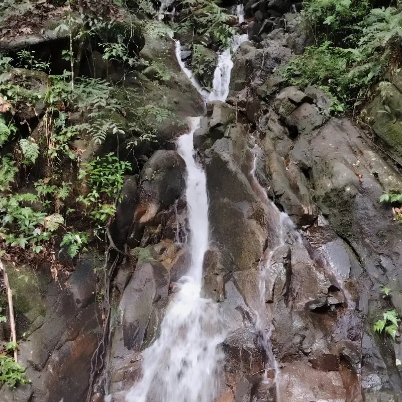 Sinharaja Rain Forest