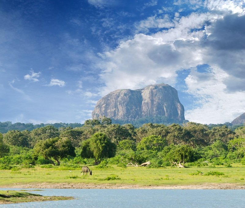 Yala National Park